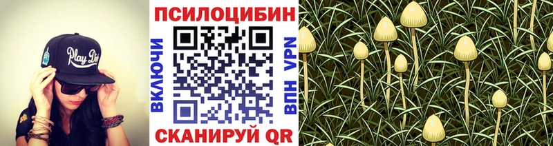 Псилоцибиновые грибы MAGIC MUSHROOMS  Петушки 